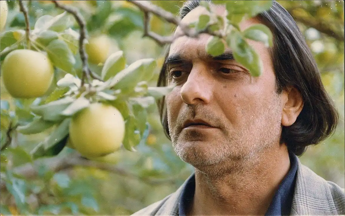 صحنه‌ای از فیلم درخت گلابی ساخته داریوش مهرجویی